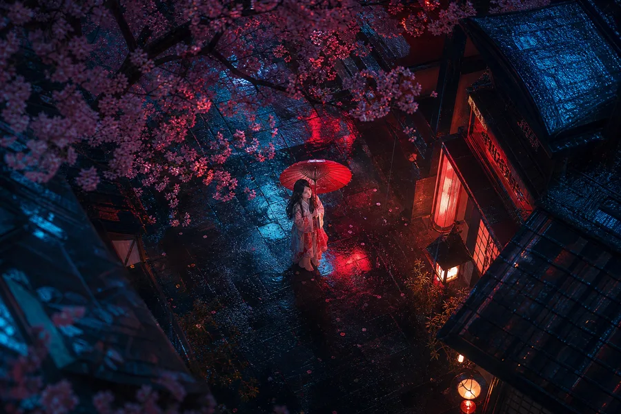 Anime Girl Standing Under Cherry Blossoms Anime Wallpaper 1 4K 4