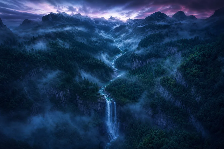 Dark Forest Fog Nature Wallpaper  2 4K