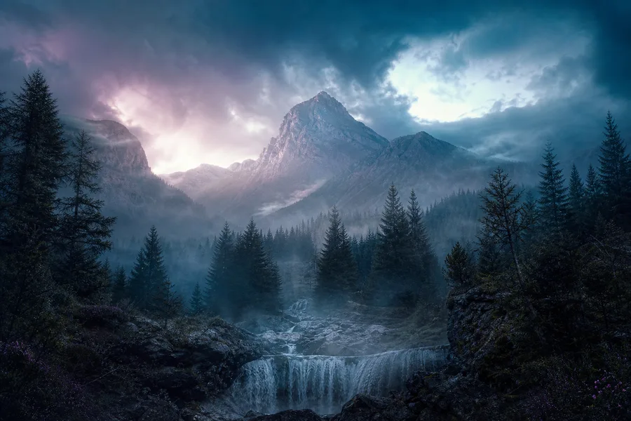 Dark Forest Fog Nature Wallpaper  2 4K