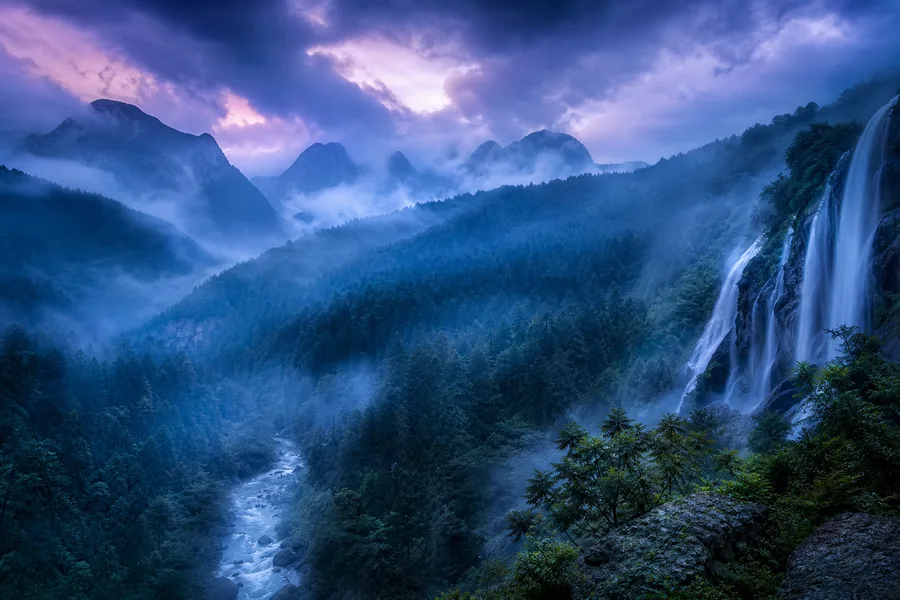 Dark Forest Fog Nature Wallpaper 2 4K 8