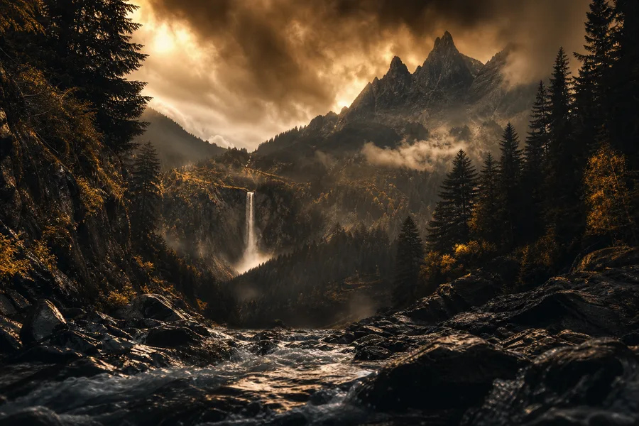 Misty Pine Forest Nature Wallpaper 7 4K 7