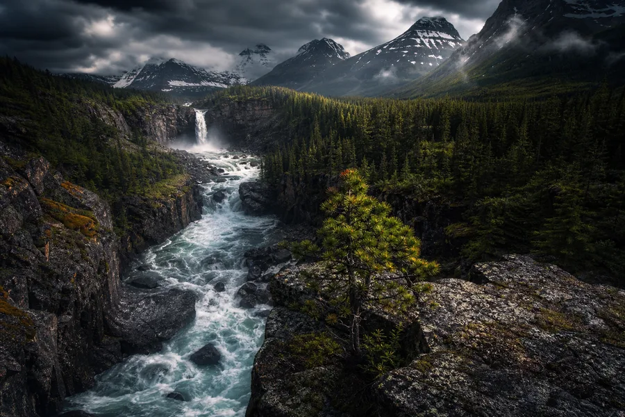 Wild River Canyon Nature Wallpaper  6 4K